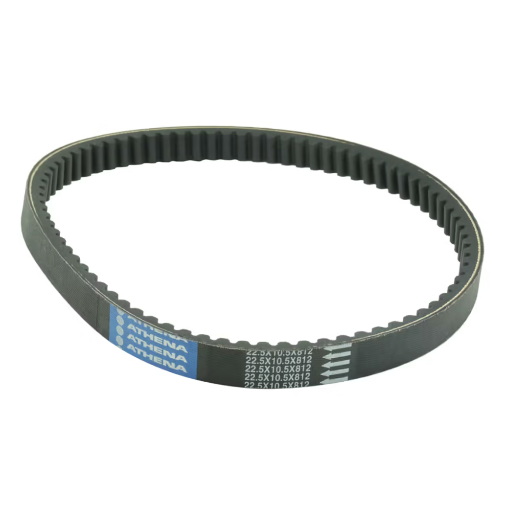 Cinghia di trasmissione 22.5X10.5X812