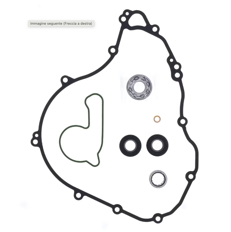 Serie guarnizioni pompa acqua KTM